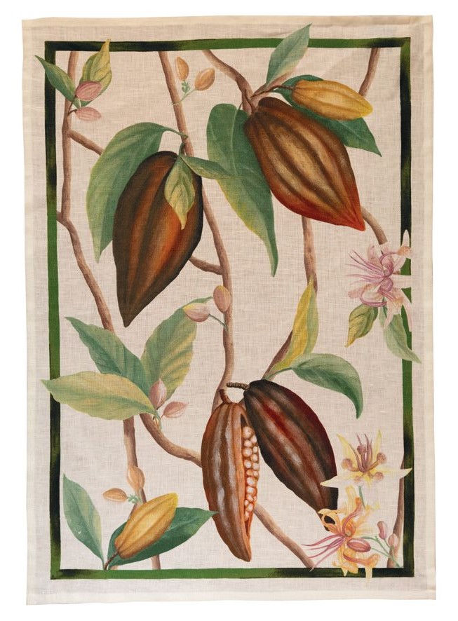 COCOA