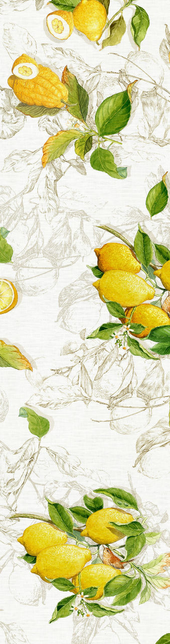 LIMONCELLO